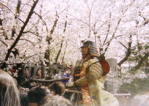 「岡崎の桜祭り」の松方弘樹さん